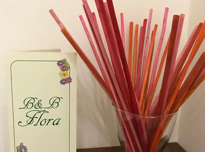 住宿加早餐酒店 Flora