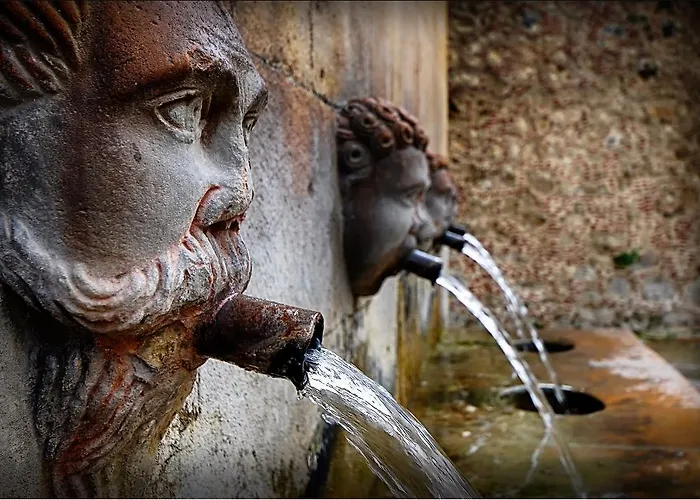 Flora לינה וארוחת בוקר