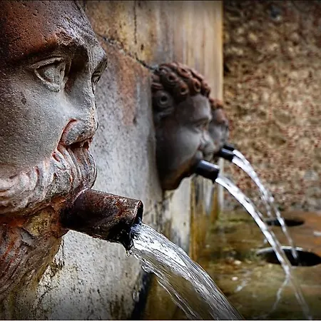 Flora Bed & Breakfast